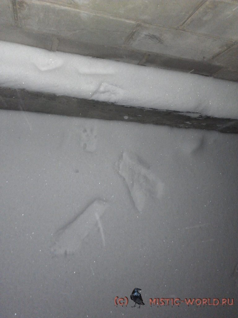 таинственные следы на снегу